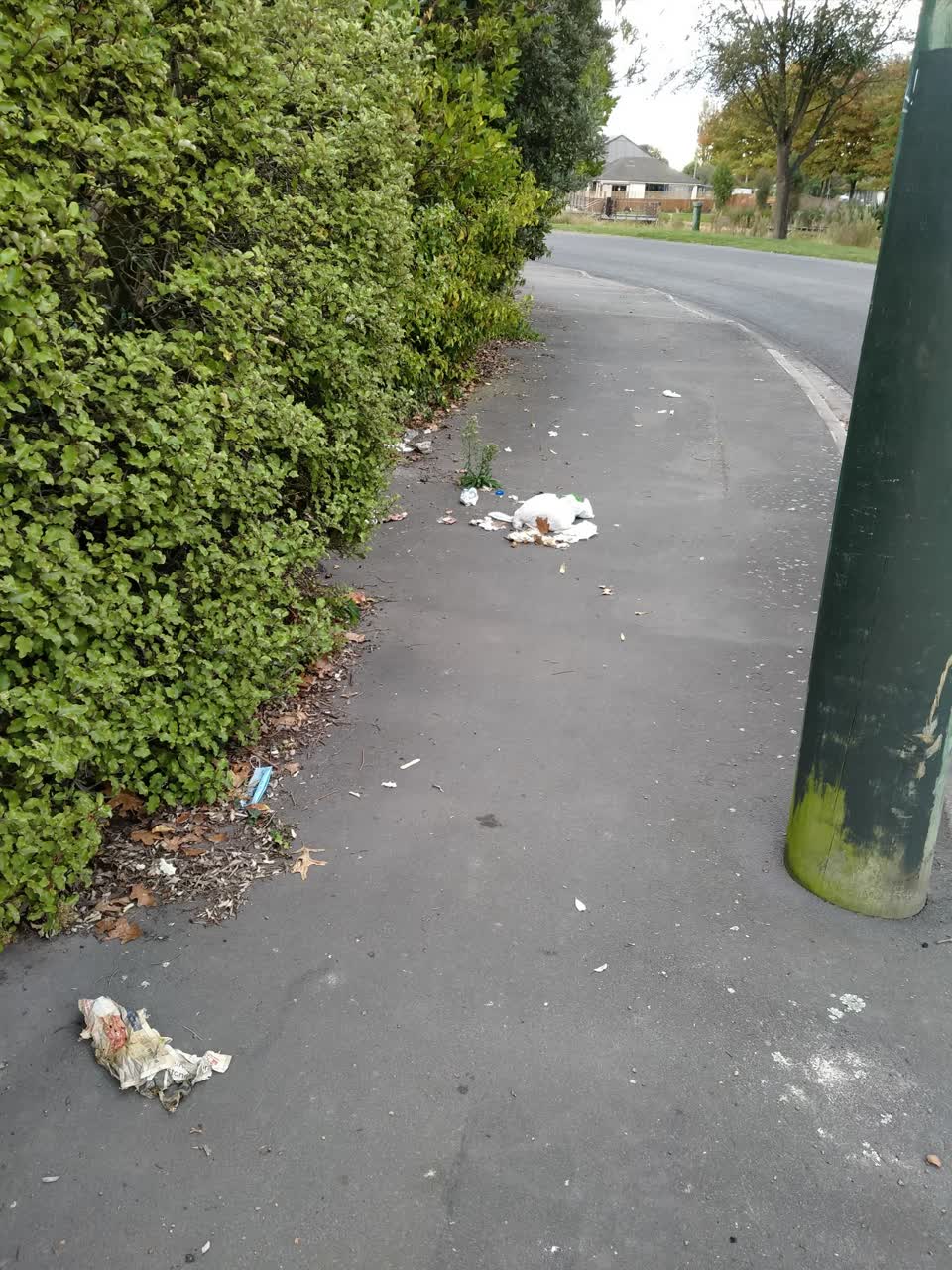 The photograph attached to this rubbish/recycling report