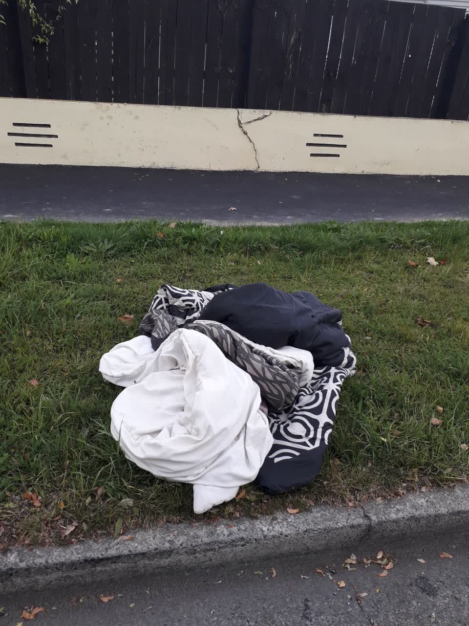 The photograph attached to this rubbish/recycling report