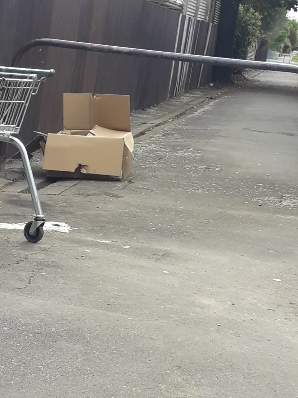 The photograph attached to this rubbish/recycling report