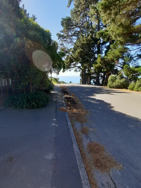 Roading/Streets — a report photo