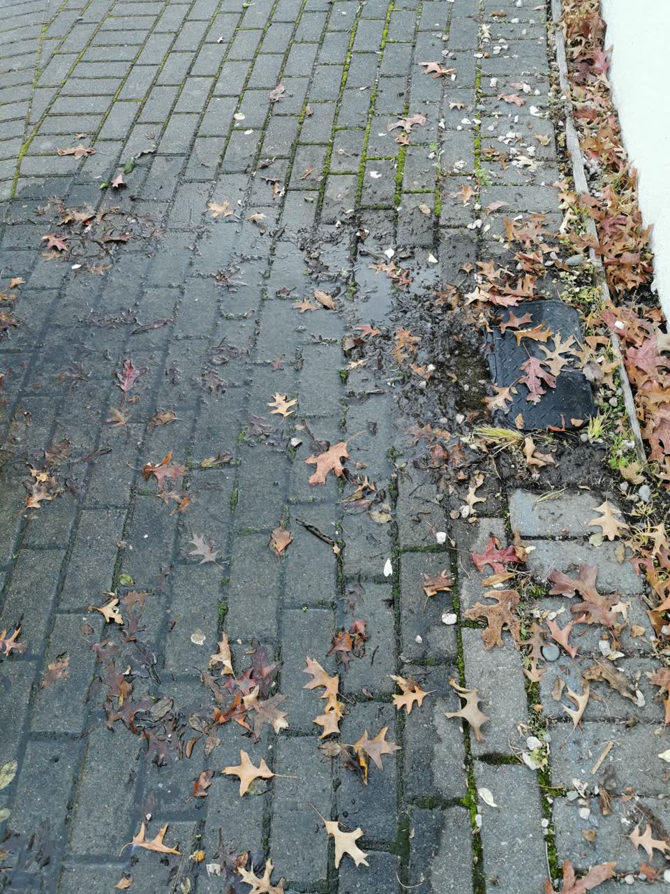 The photograph attached to this water leak report