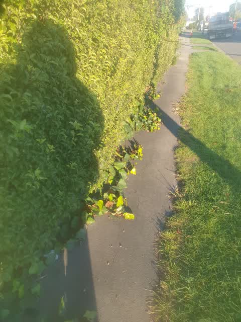 Roading/Streets, a report photo