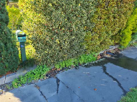 Sewer - Leak / Blockage, a report photo