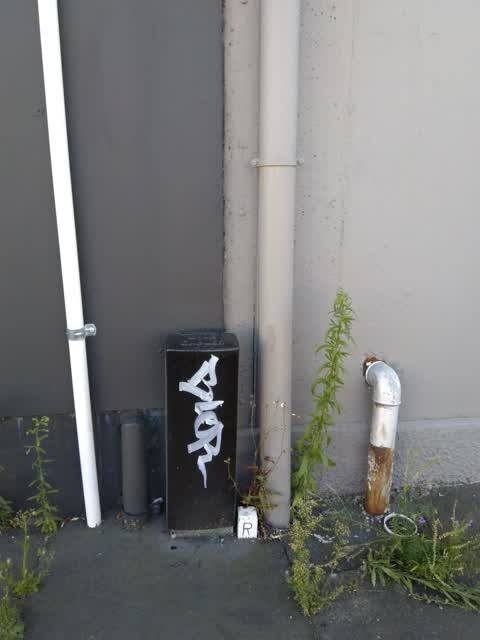Graffiti, a report photo