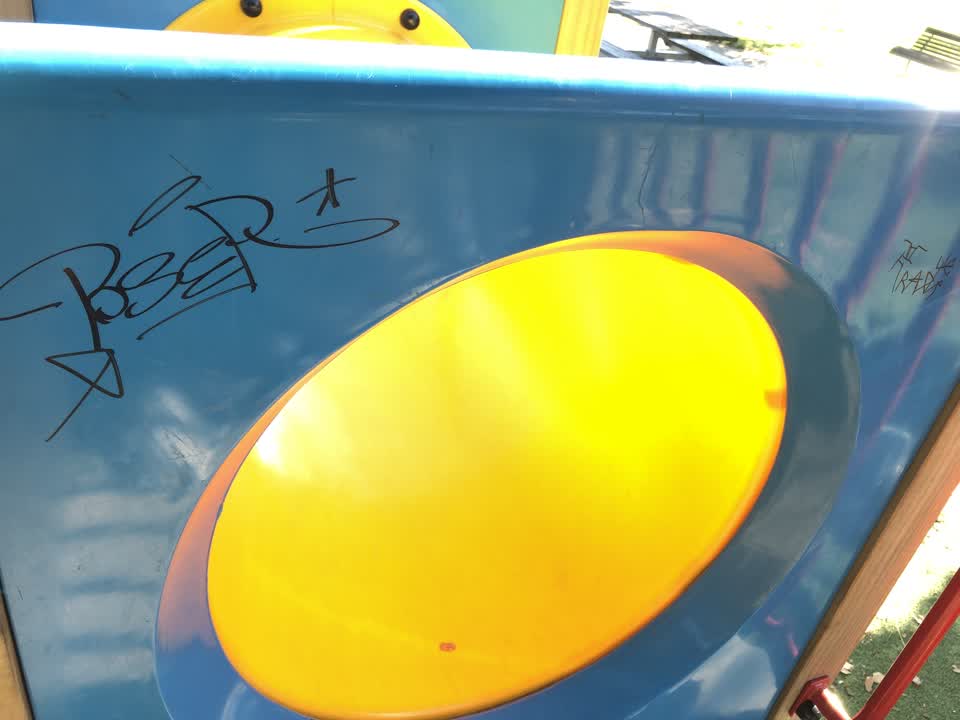 The photograph attached to this graffiti report