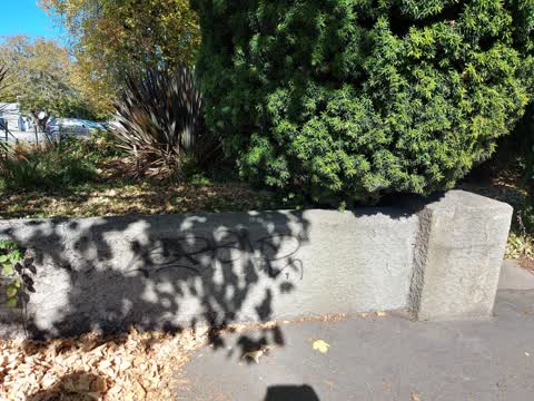 Graffiti, a report photo