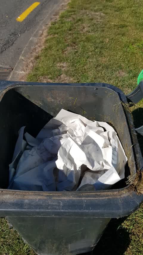 Rubbish/Recycling, a report photo