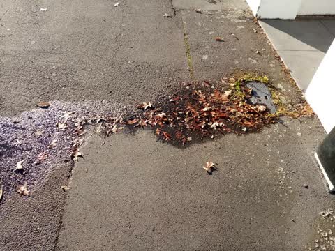Water Leak, a report photo