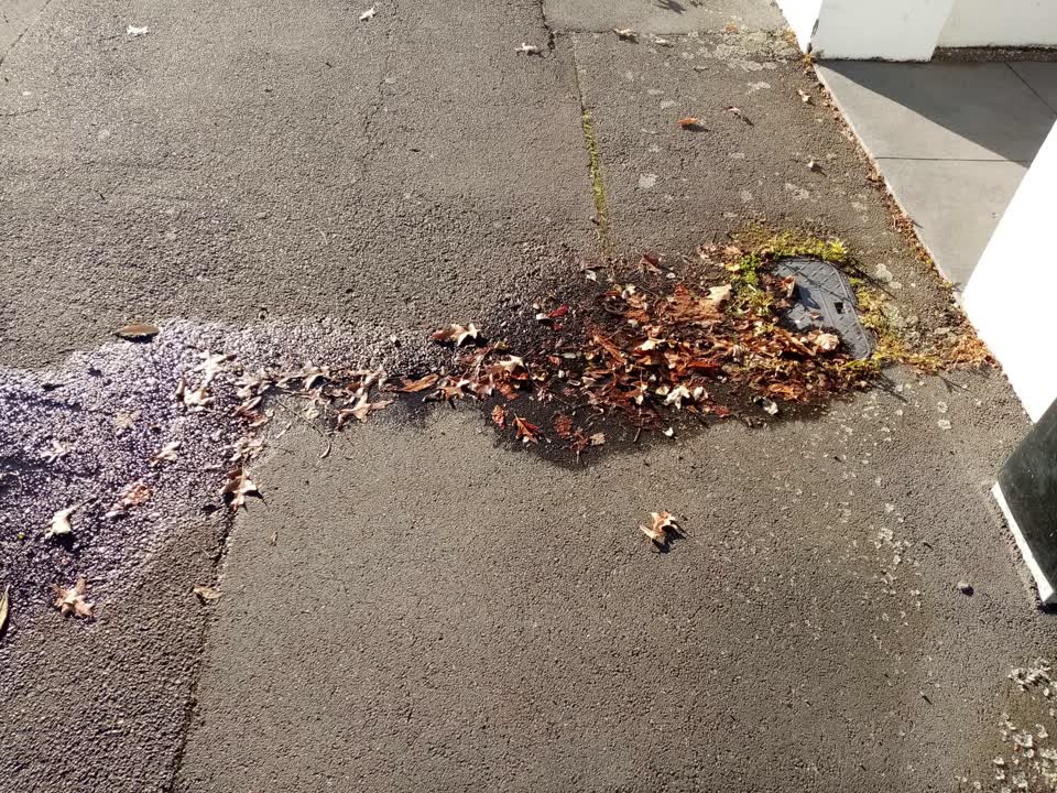 The photograph attached to this water leak report
