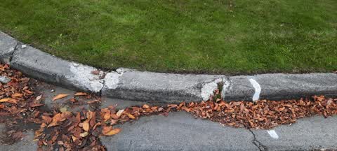 Roading/Streets, a report photo