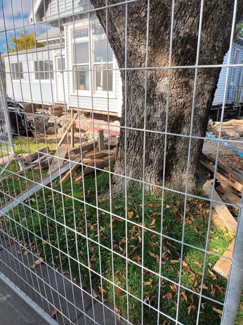 Parks, a report photo
