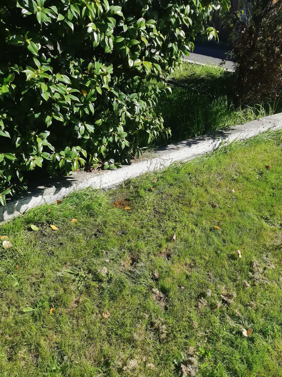 The photograph attached to this water leak report