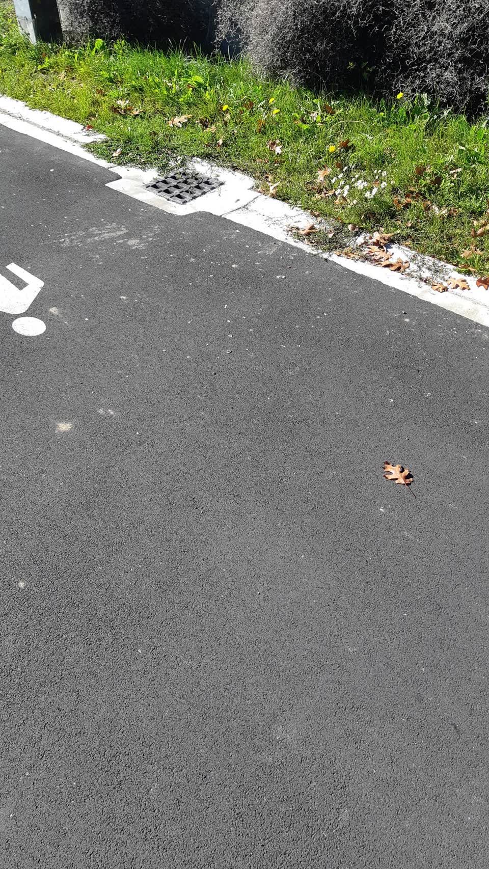 The photograph attached to this roading/streets report