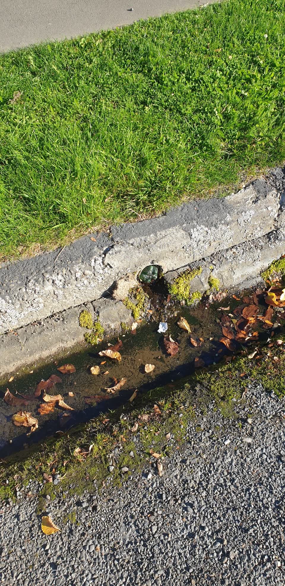 The photograph attached to this wastewater/stormwater report