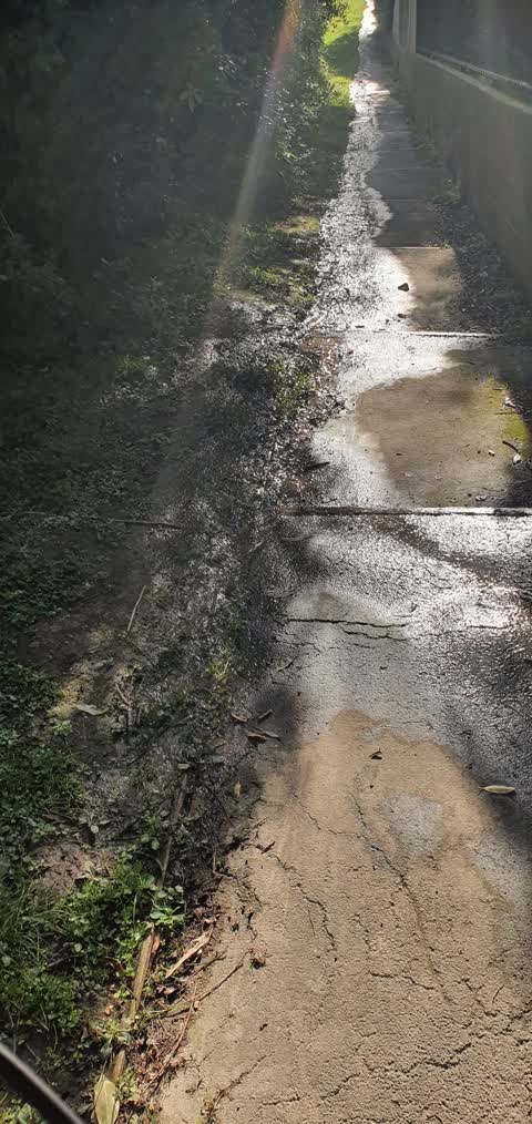 Water Leak, a report photo