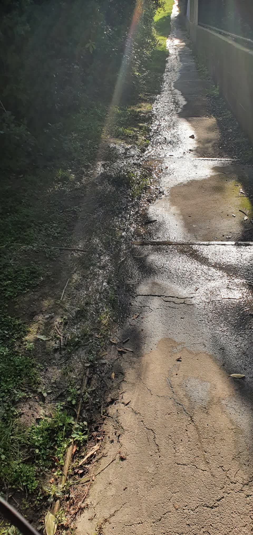 The photograph attached to this water leak report