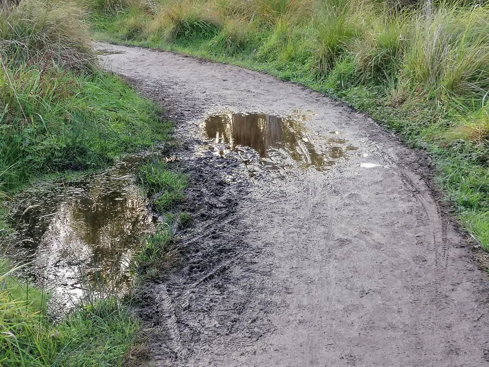 The photograph attached to this parks report