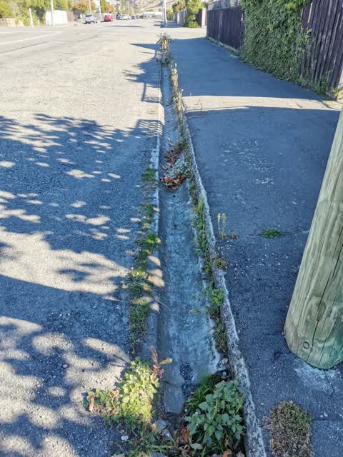 Roading/Streets, a report photo