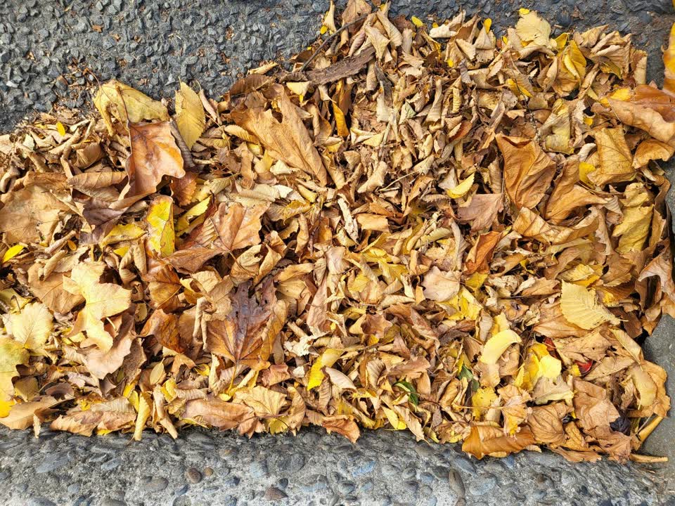 The photograph attached to this wastewater/stormwater report
