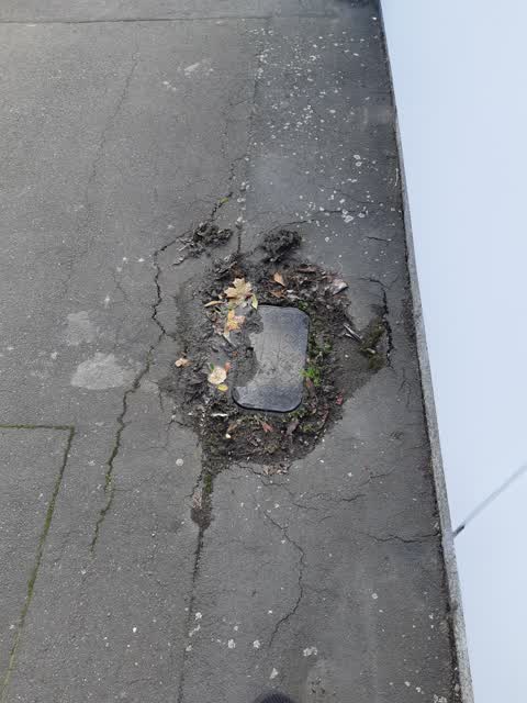 Water Leak, a report photo