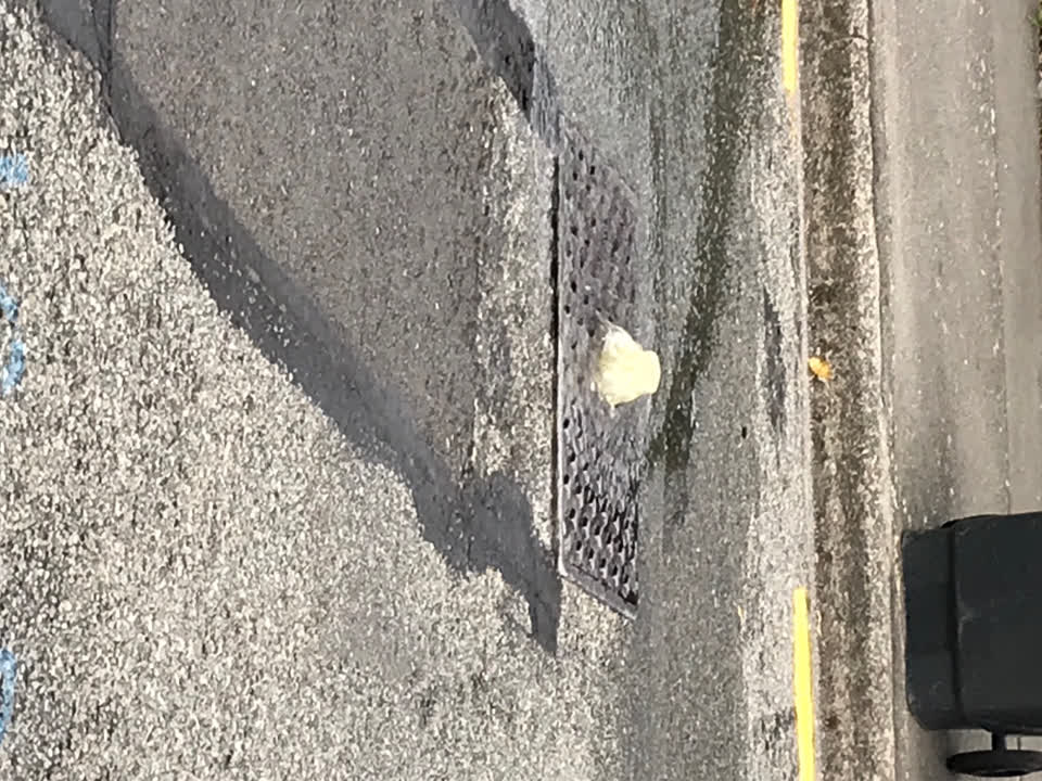 The photograph attached to this sewer - general report