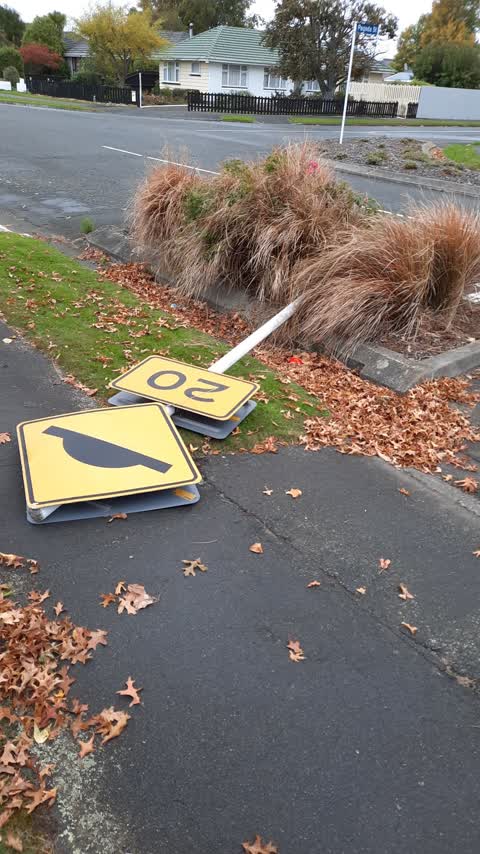 Roading/Streets, a report photo
