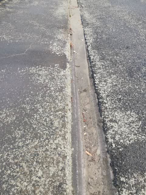 Roading/Streets, a report photo