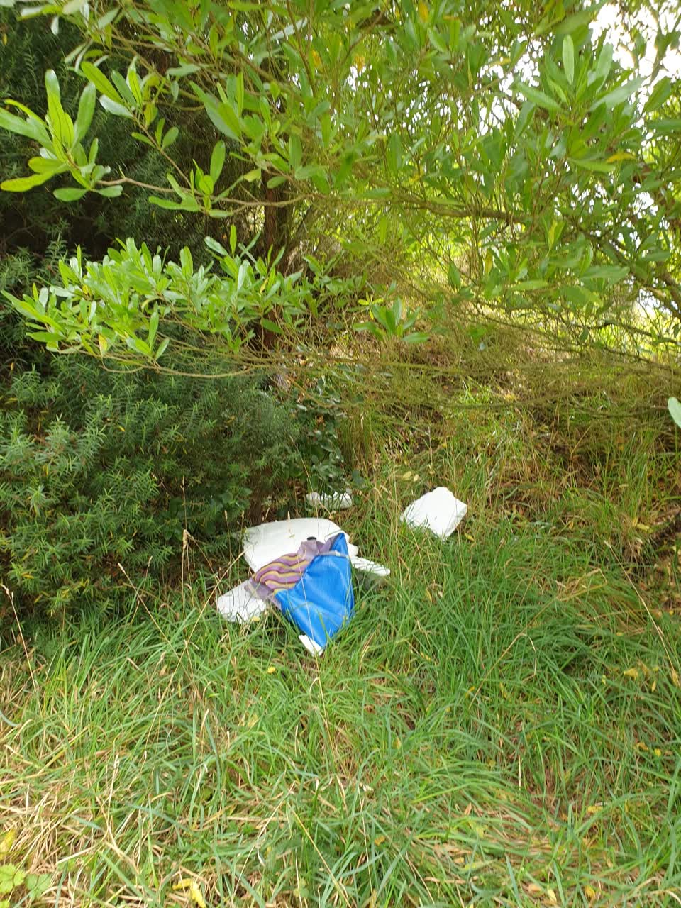 The photograph attached to this rubbish/recycling report