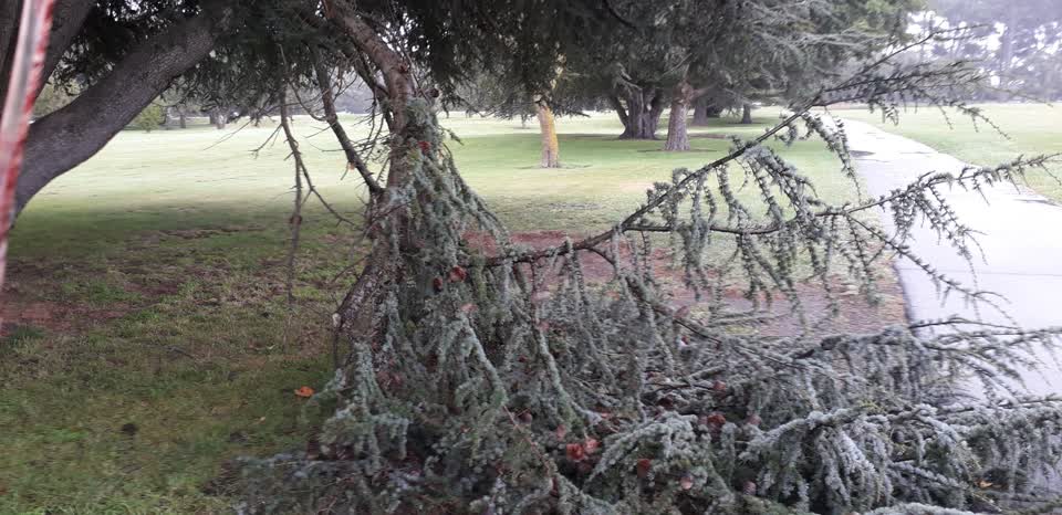 The photograph attached to this parks report
