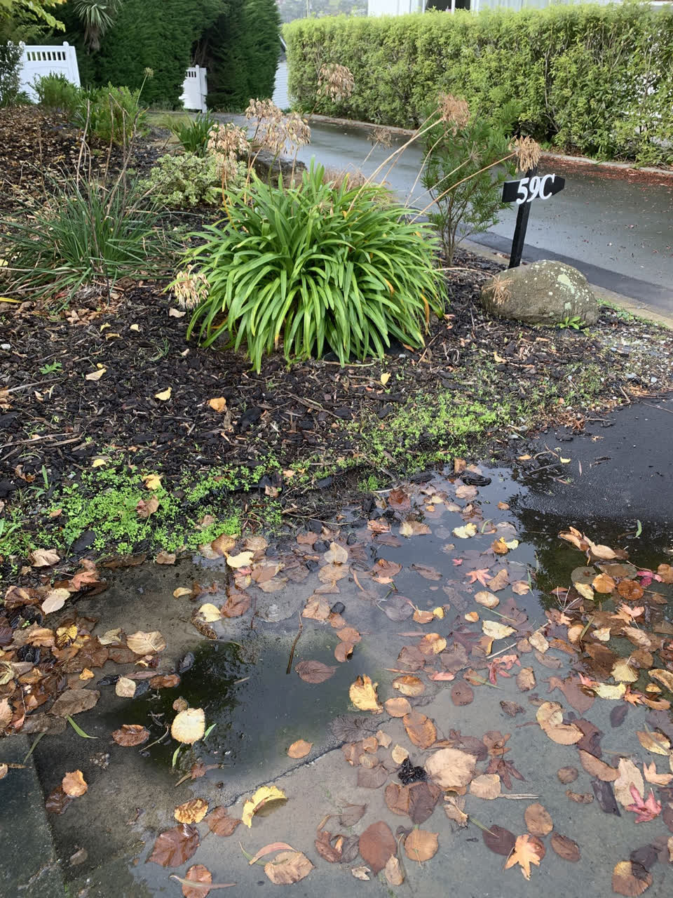 The photograph attached to this water leak report