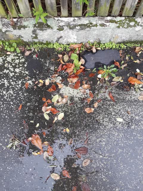 Water Leak, a report photo