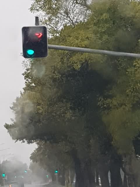 Roading/Streets, a report photo
