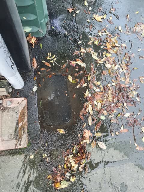 Water Leak, a report photo