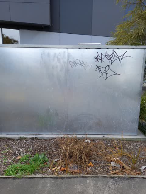 Graffiti, a report photo