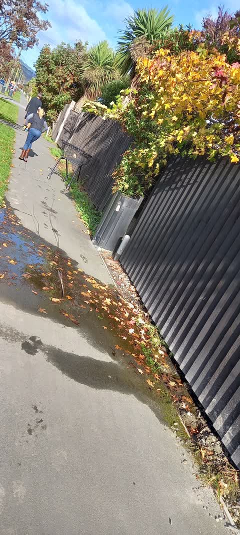 Water Leak, a report photo