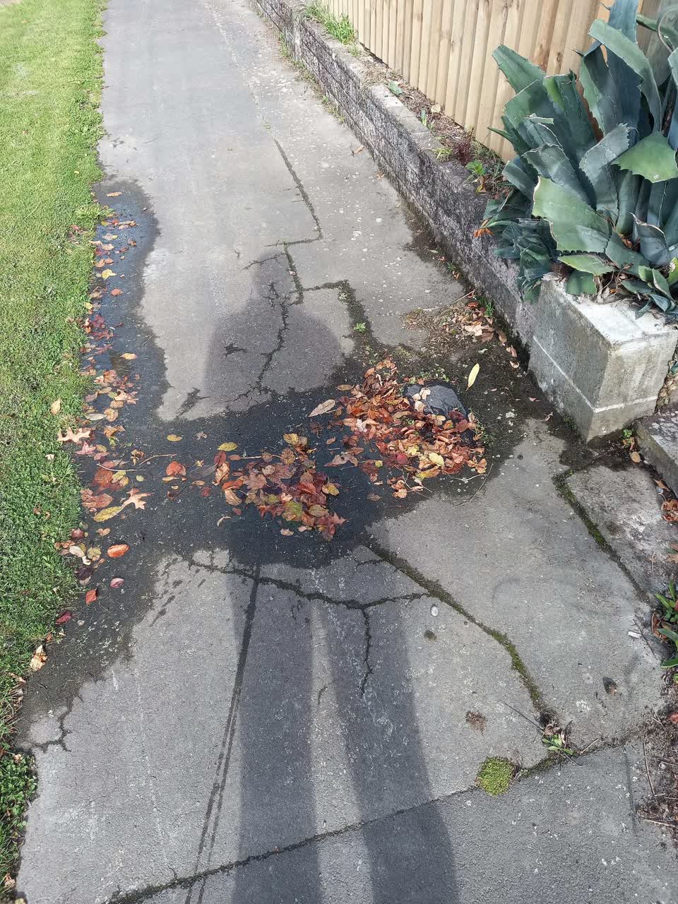 The photograph attached to this water leak report