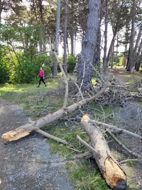Parks, a report photo