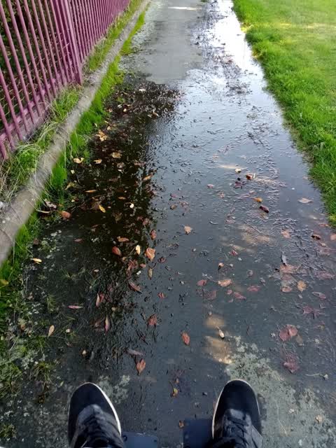 Water Leak, a report photo