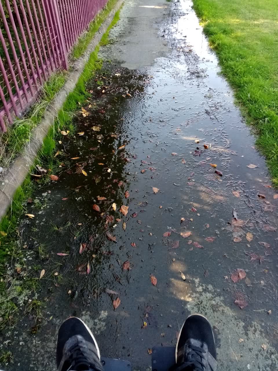 The photograph attached to this water leak report