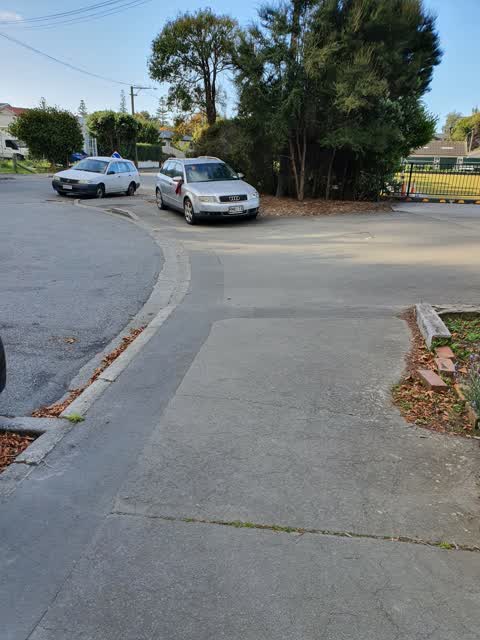 Roading/Streets, a report photo
