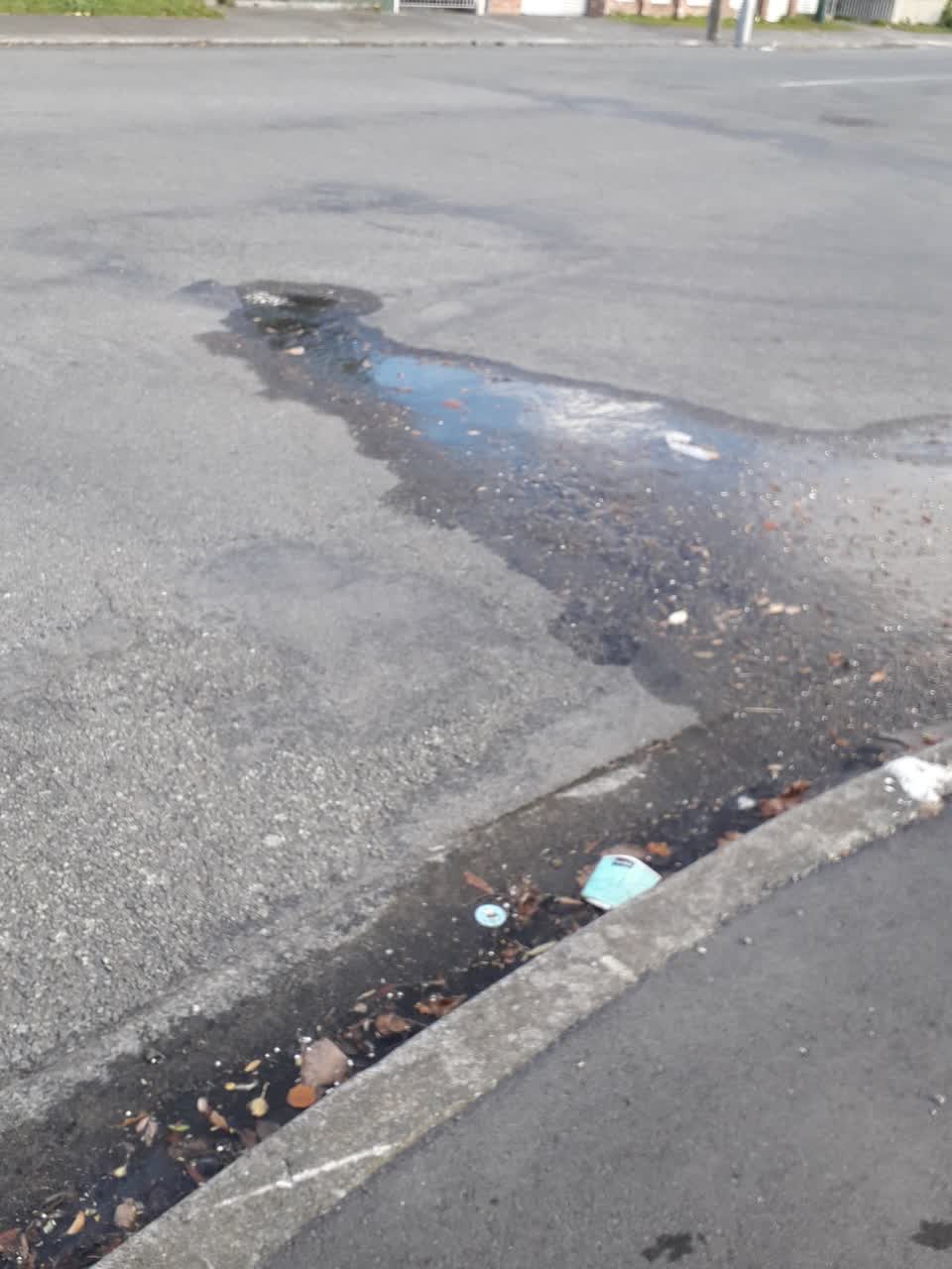 The photograph attached to this water leak report