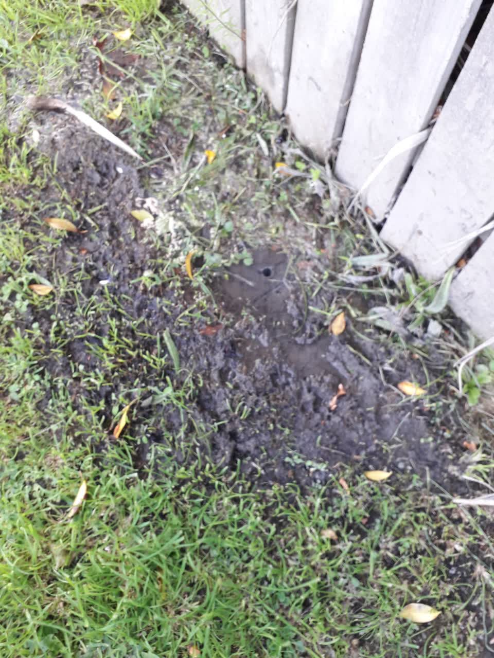 The photograph attached to this water leak report
