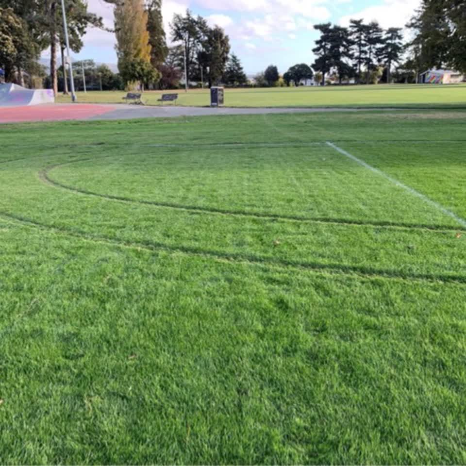The photograph attached to this parks report