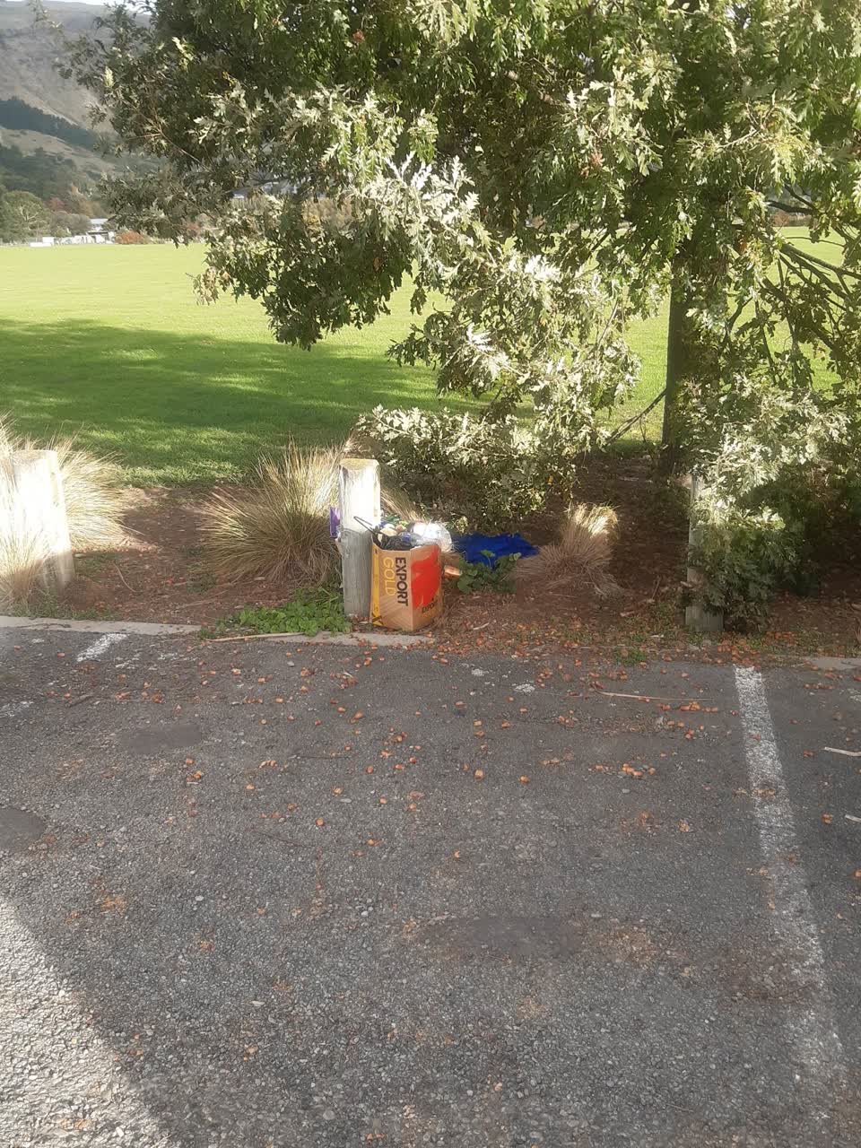 The photograph attached to this rubbish/recycling report