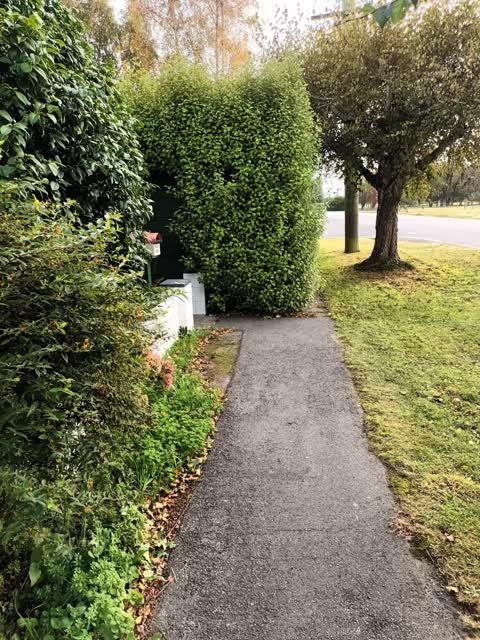 Roading/Streets, a report photo