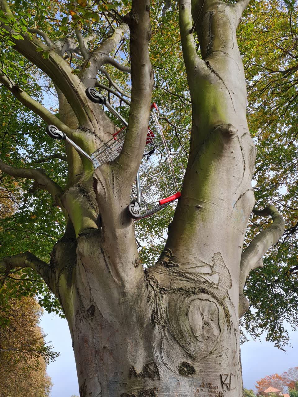 The photograph attached to this parks report