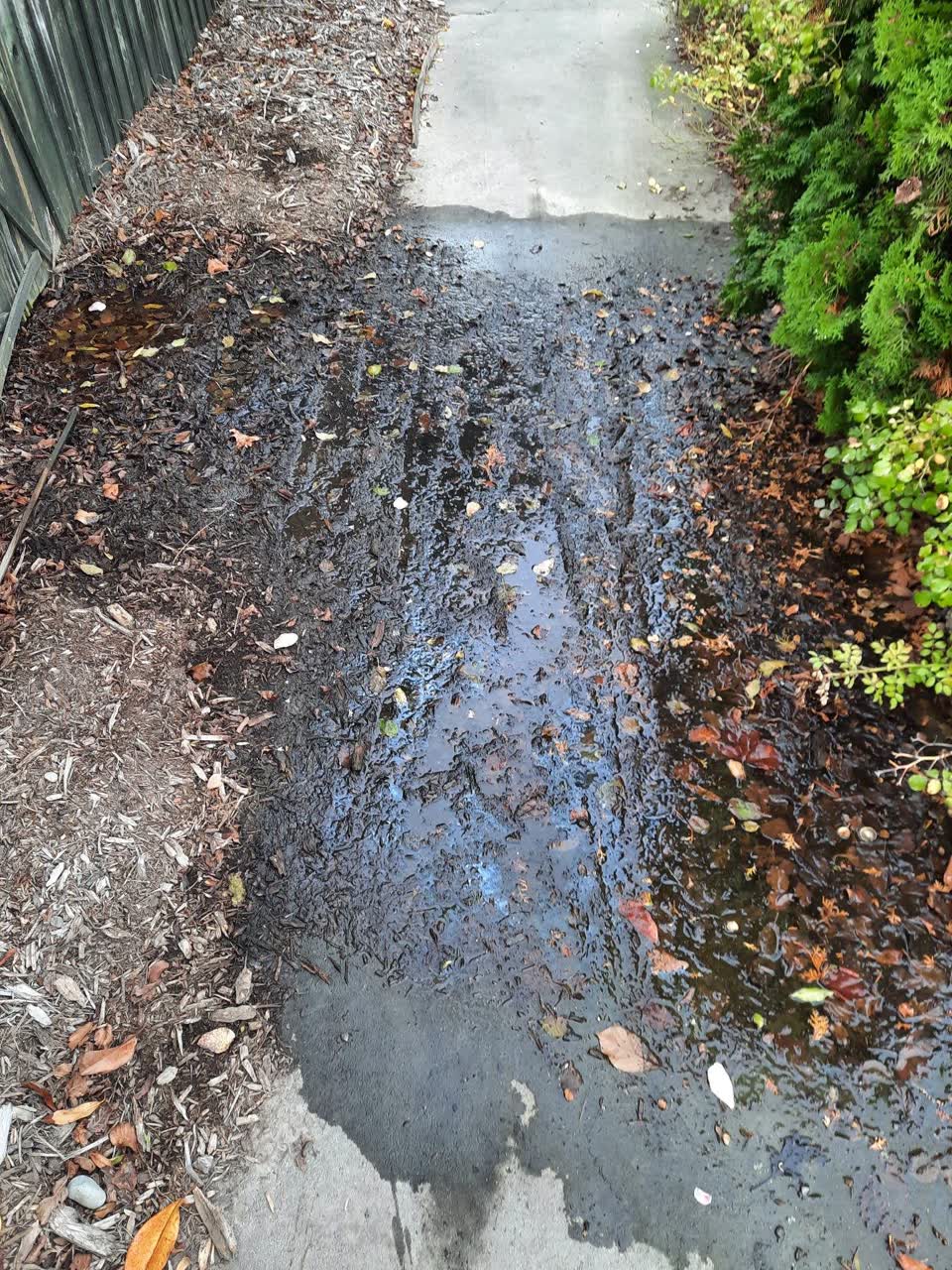 The photograph attached to this water leak report