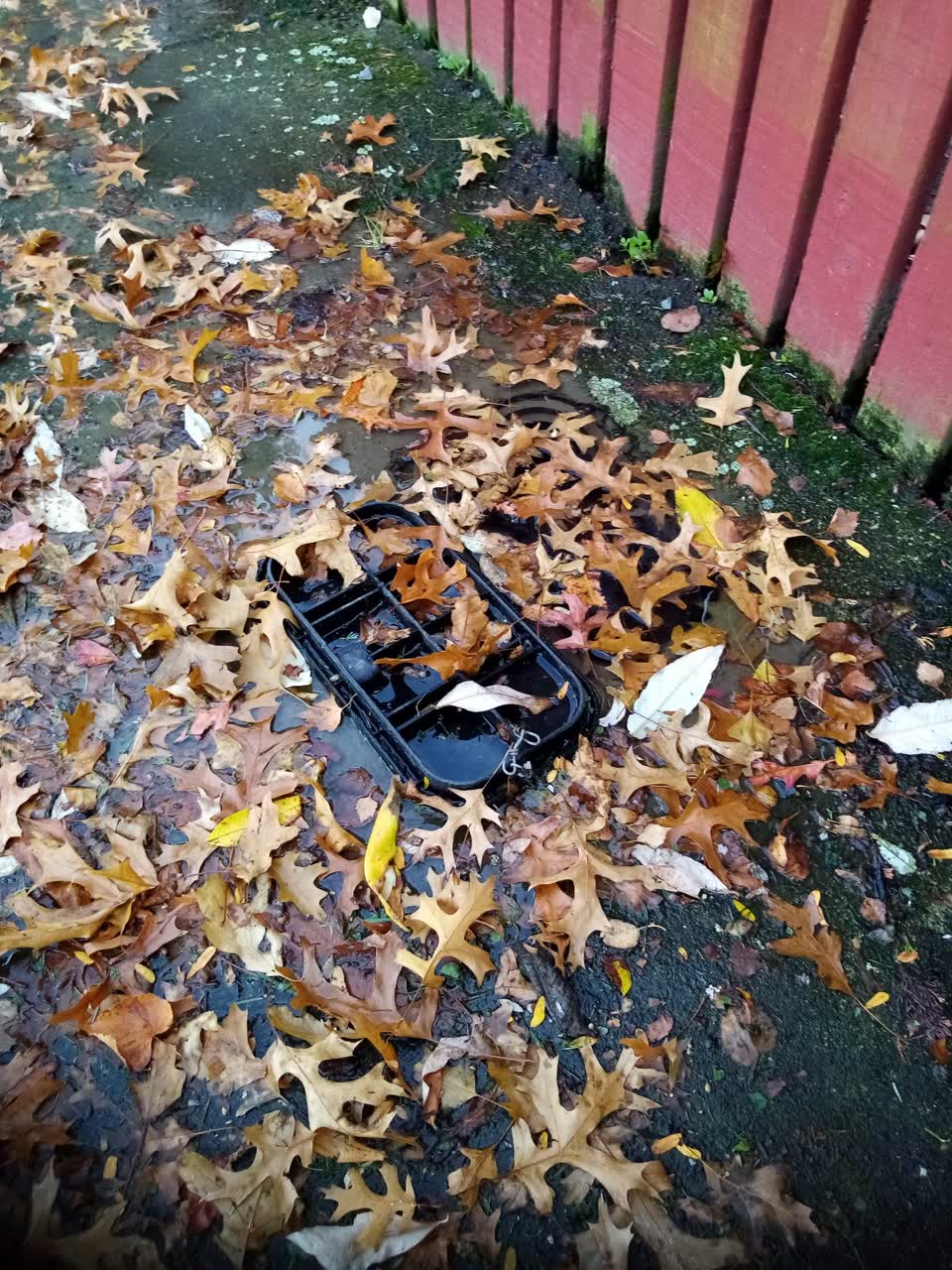The photograph attached to this water leak report
