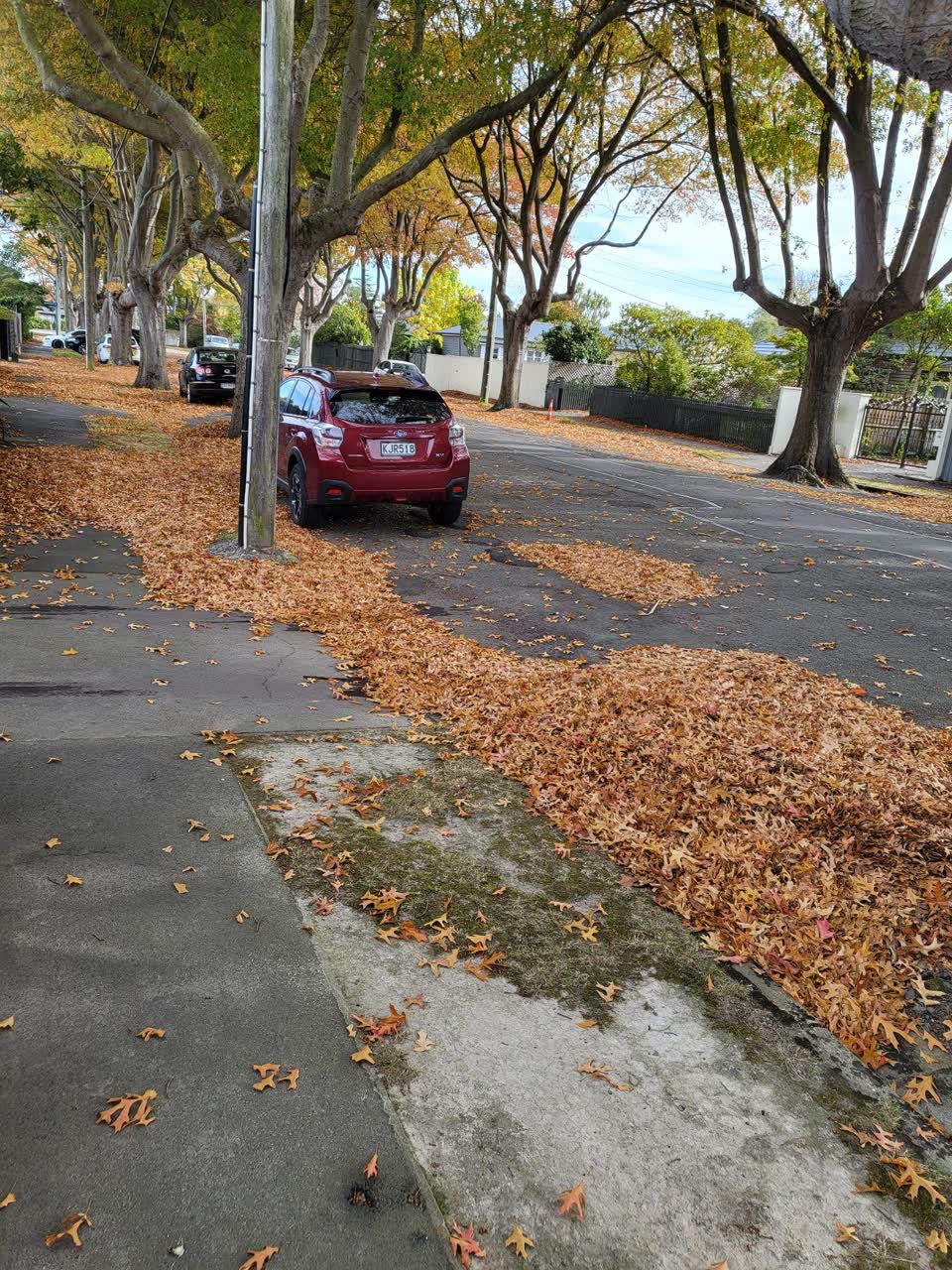 The photograph attached to this roading/streets report