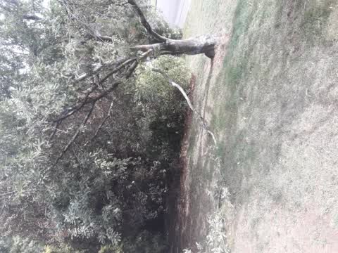 Parks, a report photo